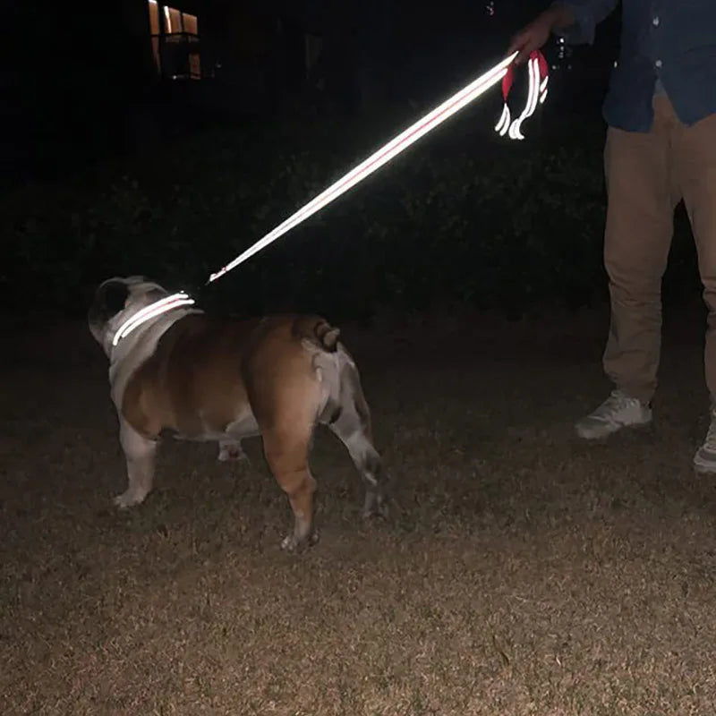 Reflective Walking Leash for Dogs & Cats