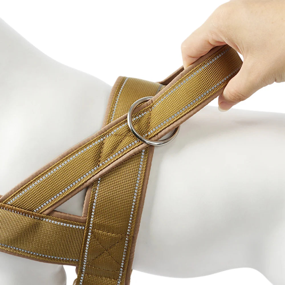 No-Pull Harness for Dogs