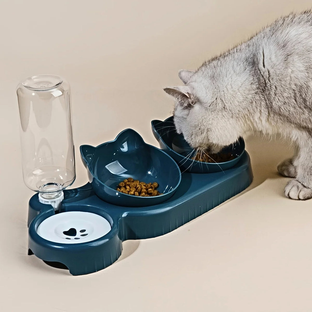 Tilted Bowl Set for Cats