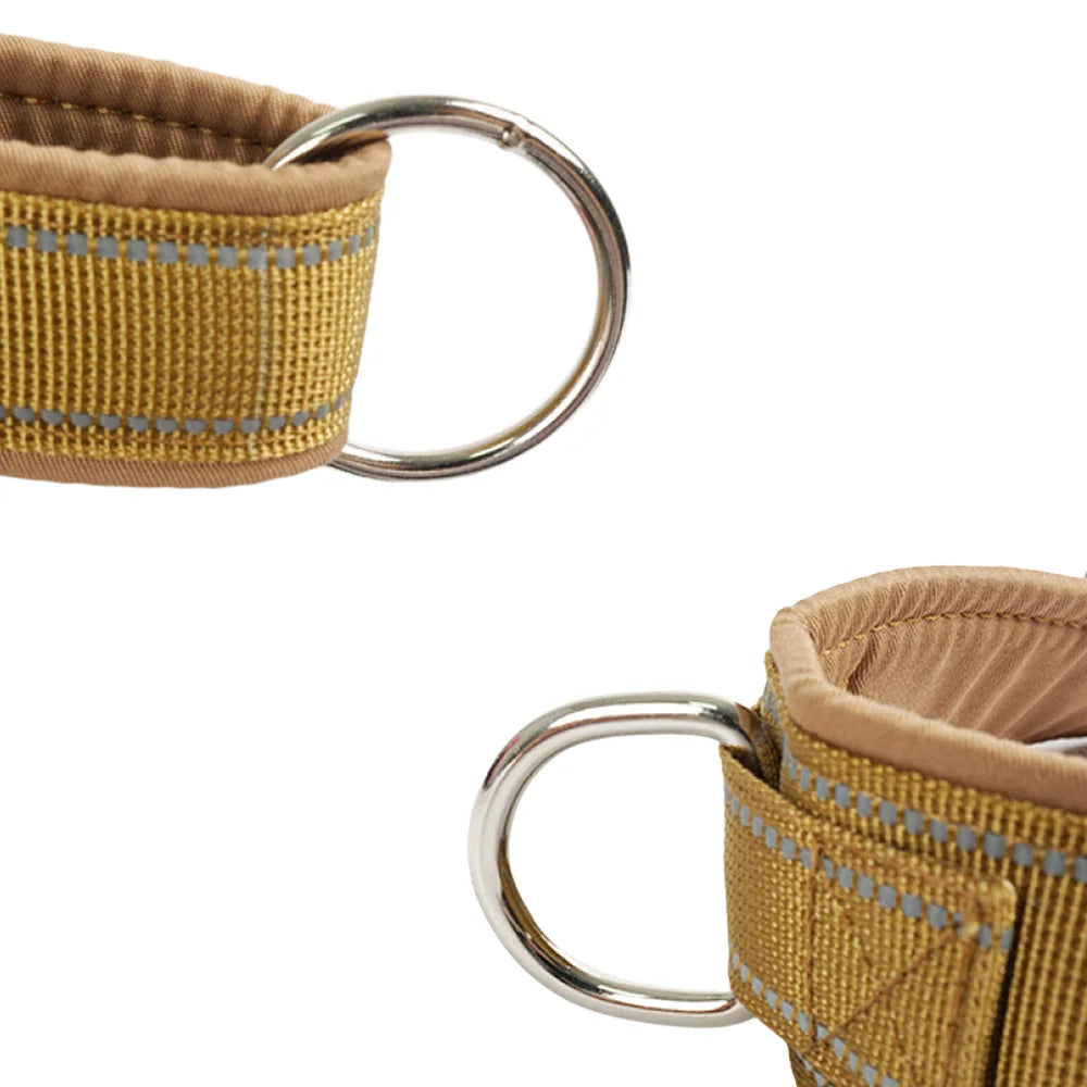 No-Pull Harness for Dogs