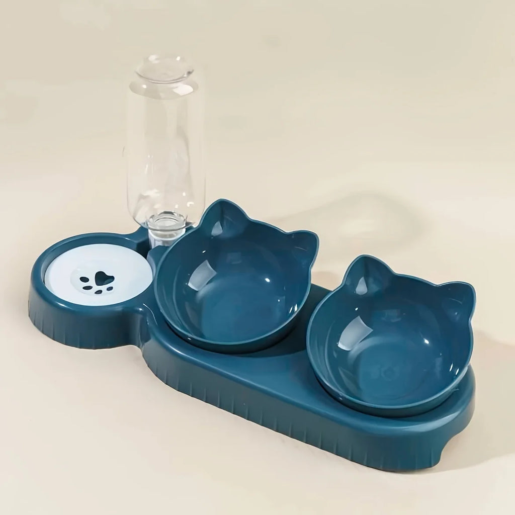 Tilted Bowl Set for Cats