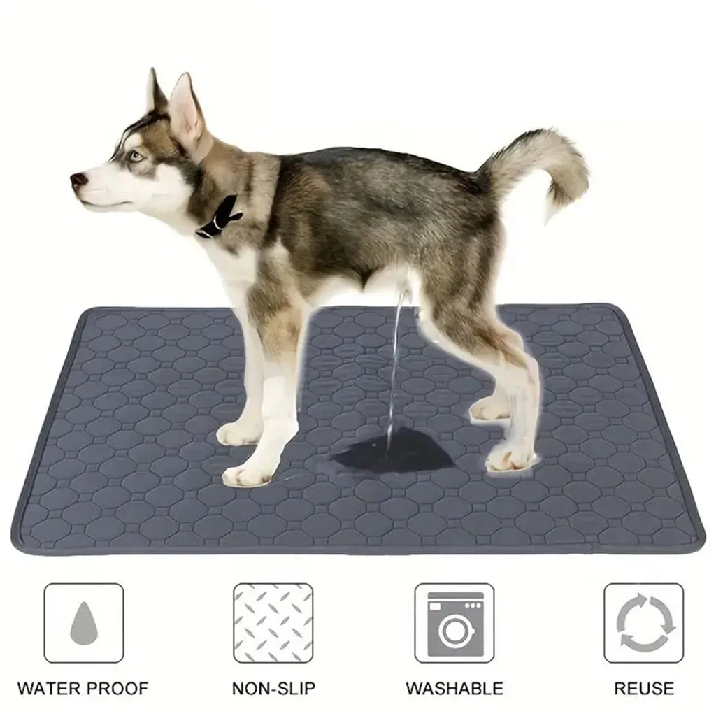 Washable Training Pad for Dogs & Cats