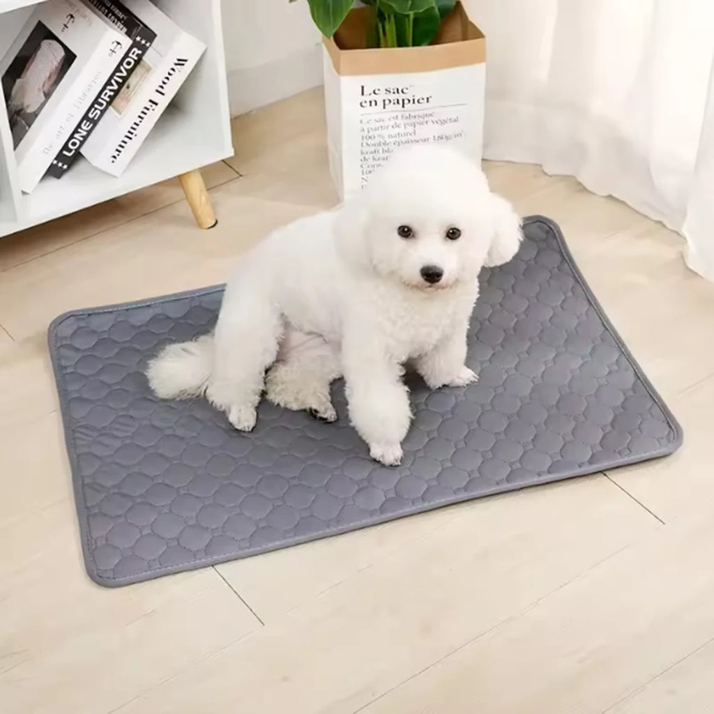 Washable Training Pad for Dogs & Cats