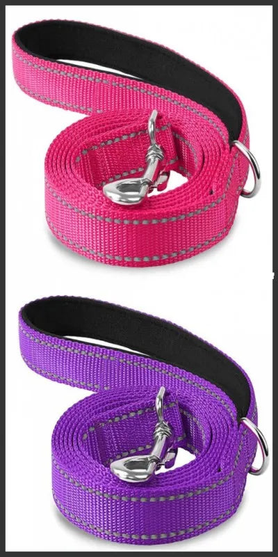 Reflective Walking Leash for Dogs & Cats