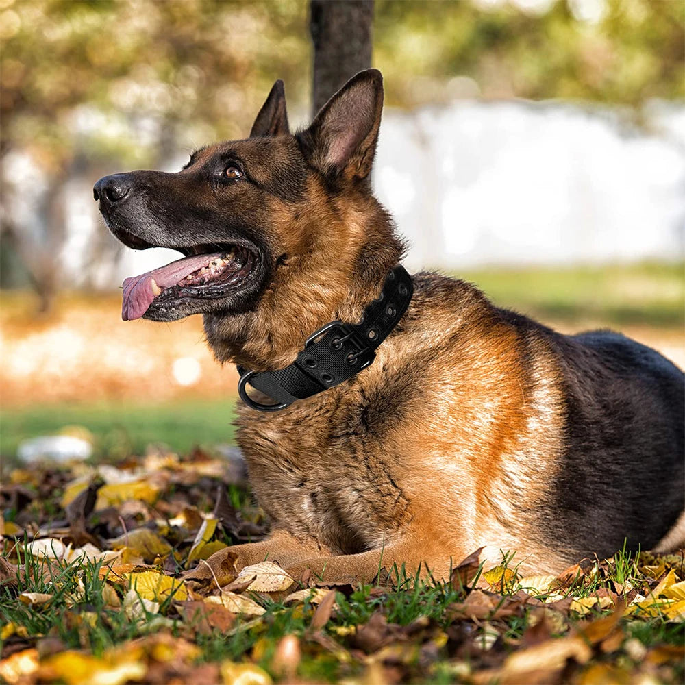 Tactical Collar for Dogs