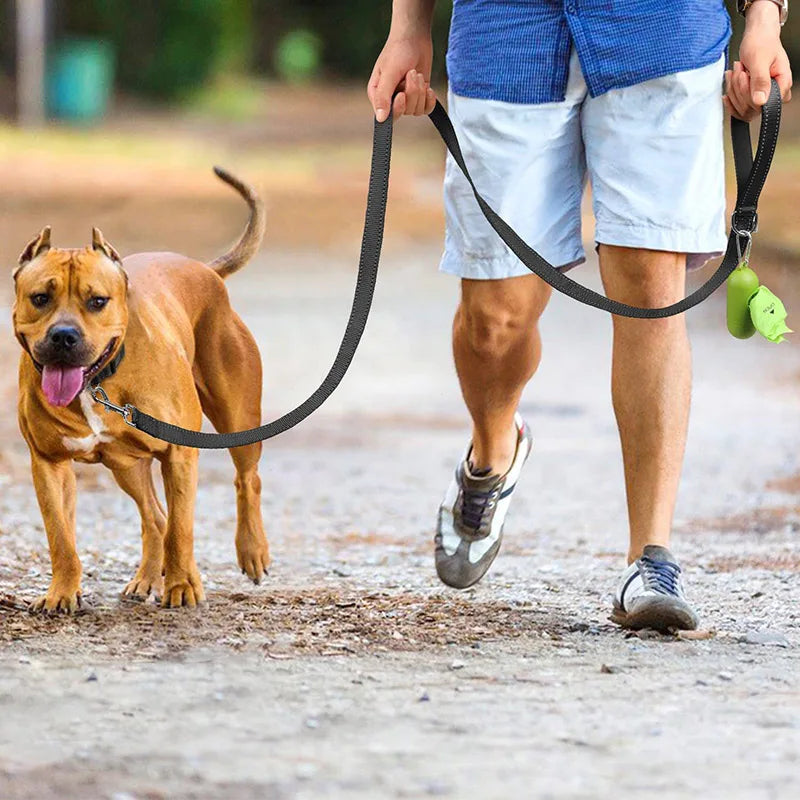 Reflective Walking Leash for Dogs & Cats